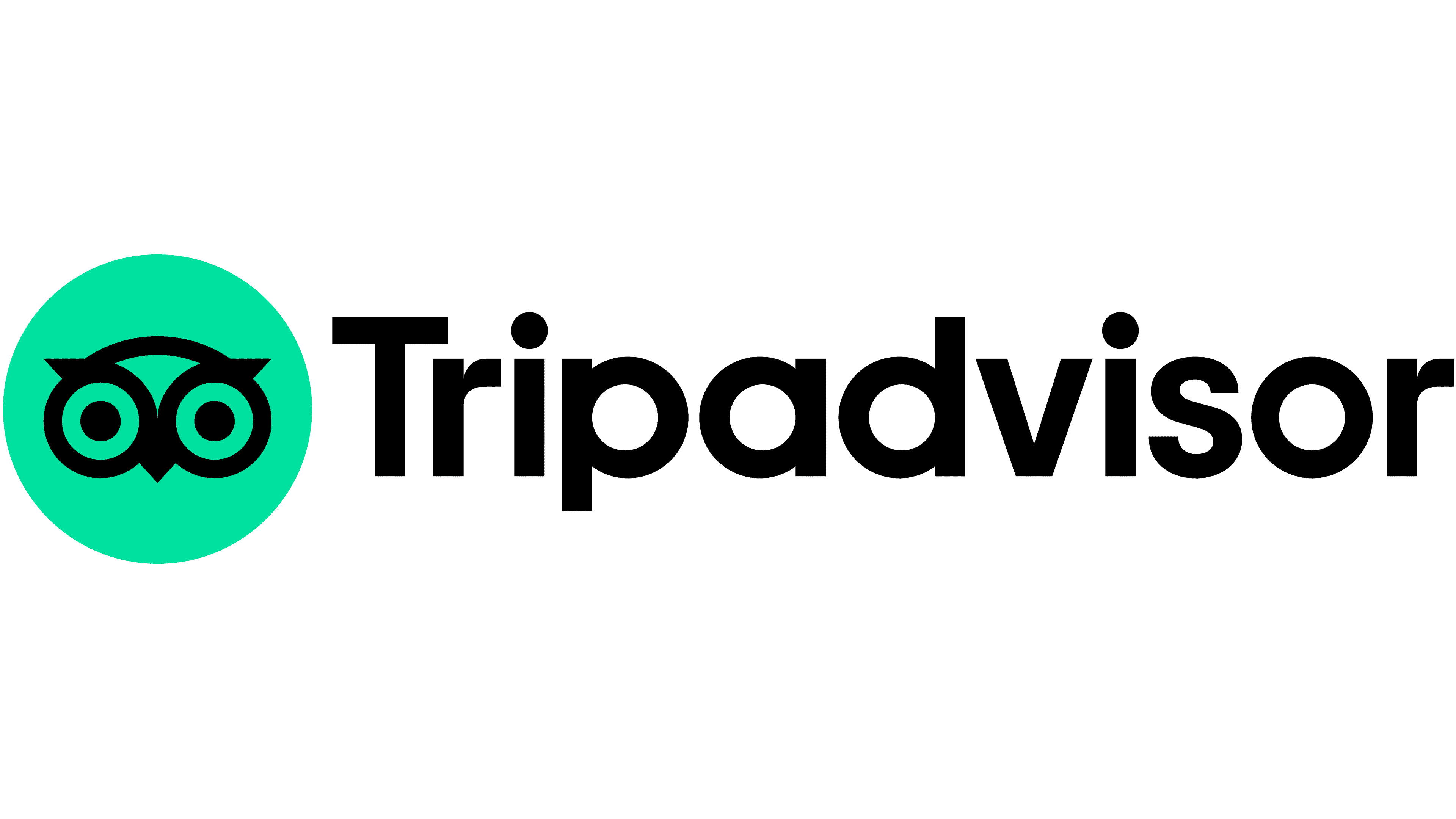 Tripadvisor-Logo-4117256204